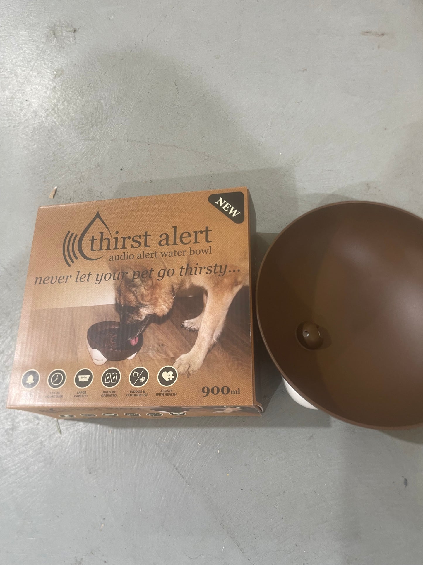 singing dog bowl