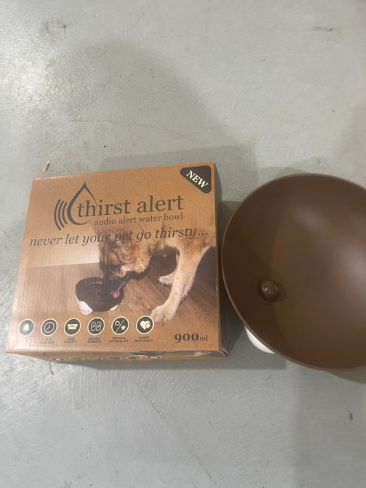 singing dog bowl