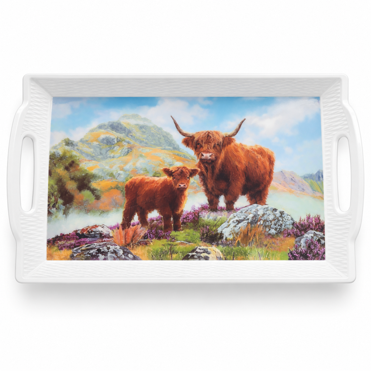 Decorative Plastic Serving Tray with Handles – Choice of Design